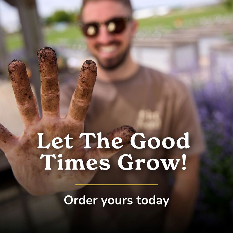 Miracle-Gro Dirt Nerd "Est. 1951" Tee image number null